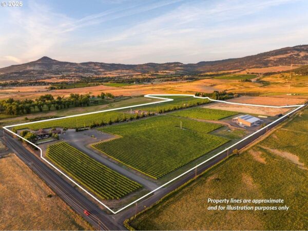2335 N Phoenix Rd - Image 2